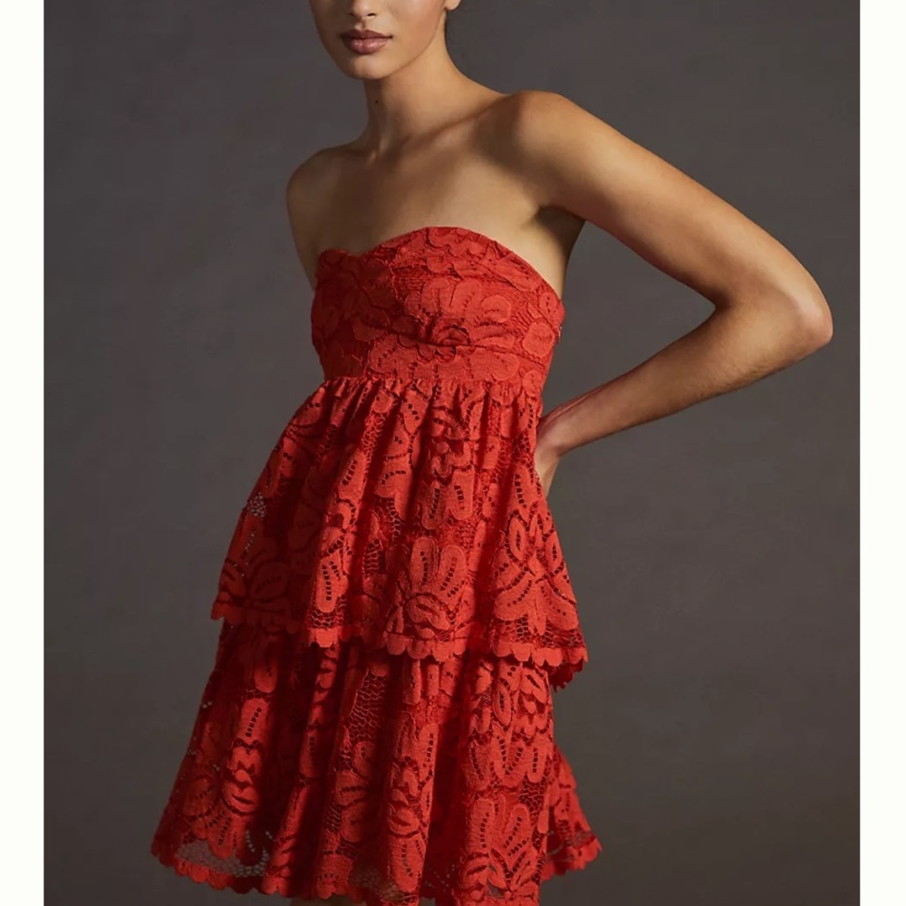 NWT Anthropologie Bare Lace Tiered Dress